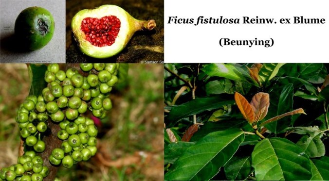 404827_4822529434247_589658502_n