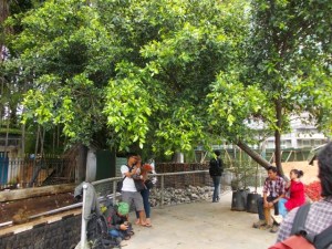 Pra weding sigana mah