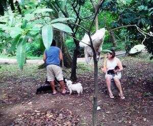 Pengunjung dengan 4 Ekor Anjingnya