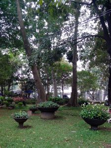 Keindahan di Taman Kandaga Puspa (Foto: Arya Vidya Utama)