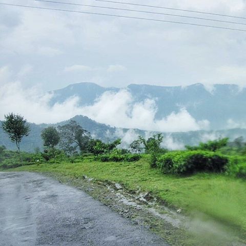 12424557_1700206730191504_1723684084_n