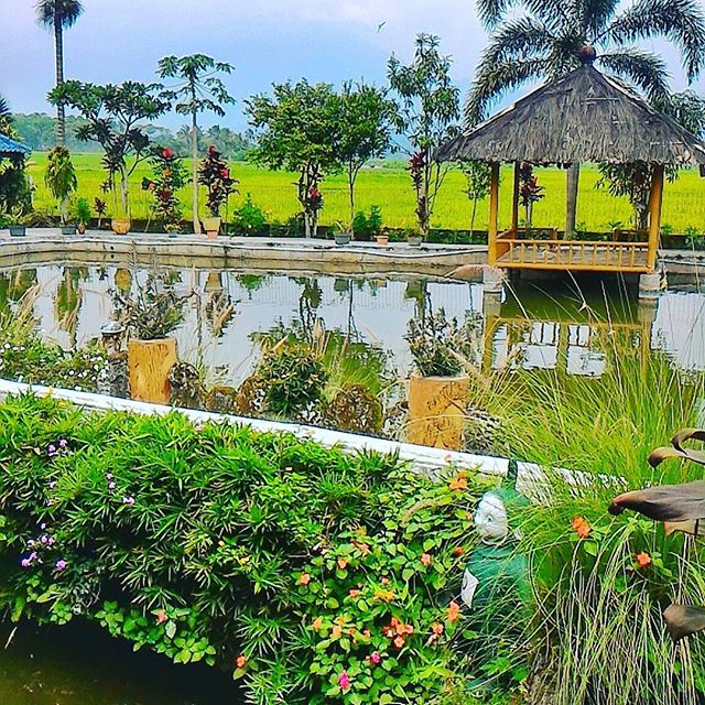 12534112_432399326964972_454091360_n