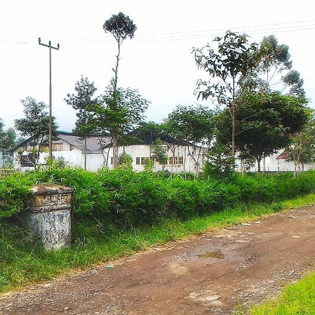 12547584_1697321483847572_2072058530_n