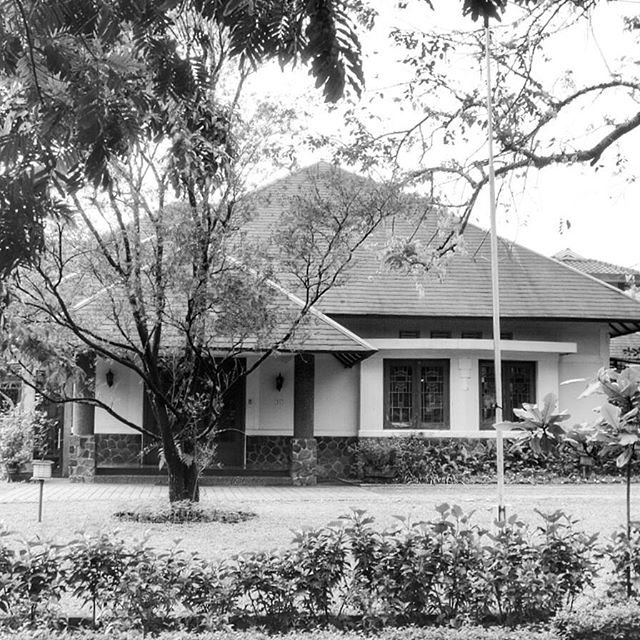 917223_424082574461475_16476739_n