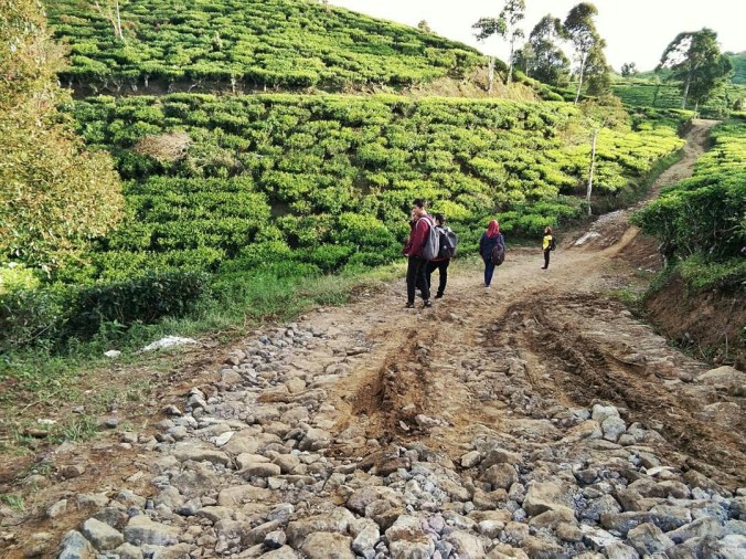 Kondisi Jalan Ngaleut Rancabali. Photo Windi
