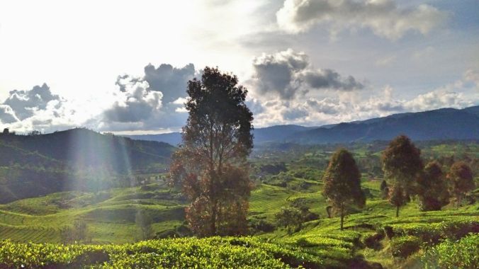 “Spirit” Max Salhuteru dari Sinumbra-Sperata