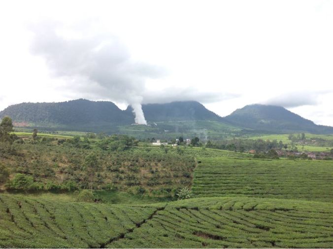 Arca-arca yang hilang