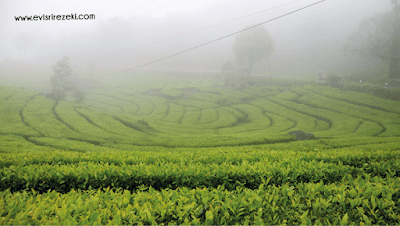 #2 Susur jejak spoorwegen 10