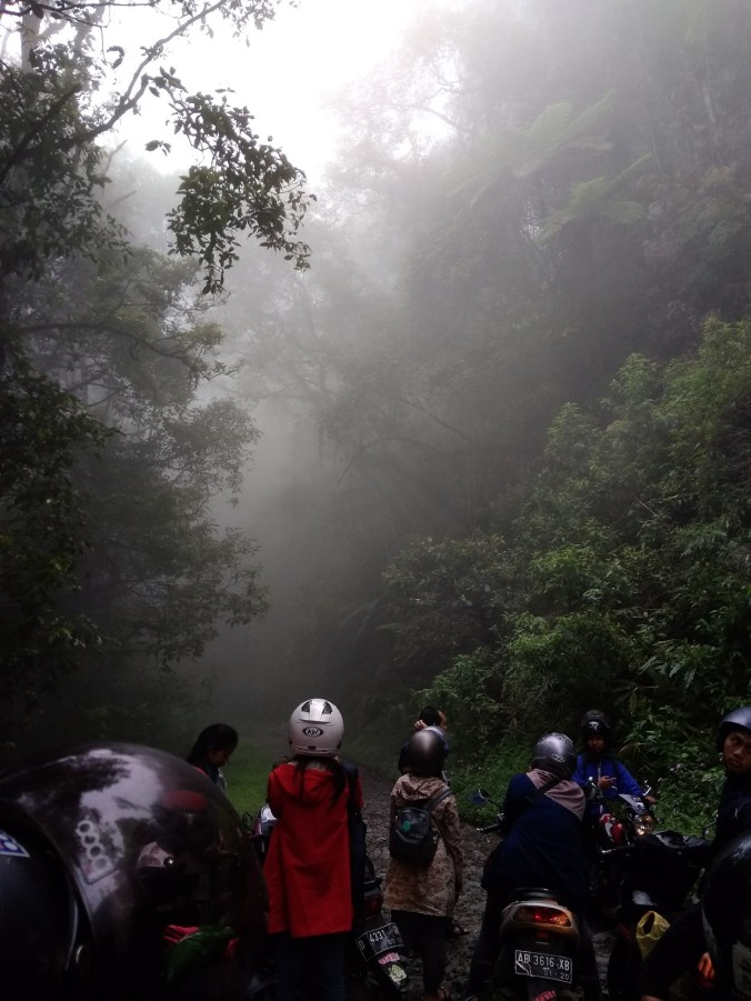Dewata dan Imajinasi