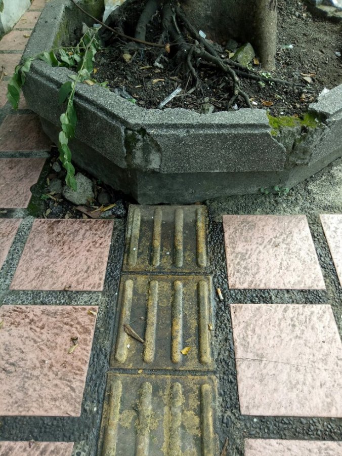 Event #MAPMYDAY, cara beda memperingati Hari Disabilitas Internasional 2