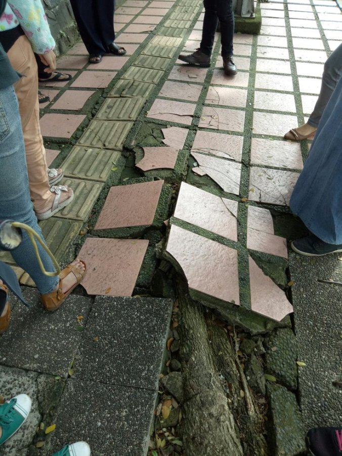 Event #MAPMYDAY, cara beda memperingati Hari Disabilitas Internasional 5