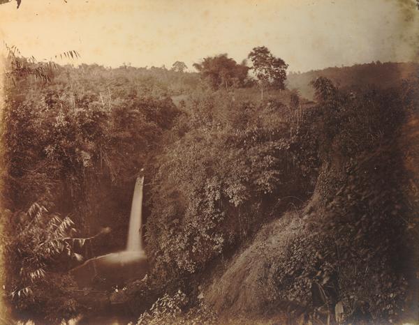 WhatsApp Image 2020-04-24 at 18.01.17