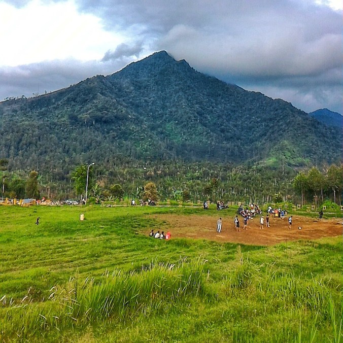 IMG_20160124_224337.jpg image