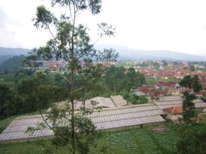 Cihanjuang-2