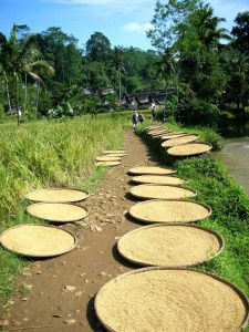 kampung naga 040506 02