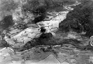 COLLECTIE_TROPENMUSEUM_Bergsawah's_bij_Patjet_op_Malabar_1500_m_TMnr_10011201