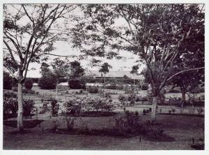 10276425_10200982111313342_584111480_n