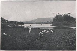 Bergmeer Sitoe Tjileuntja.